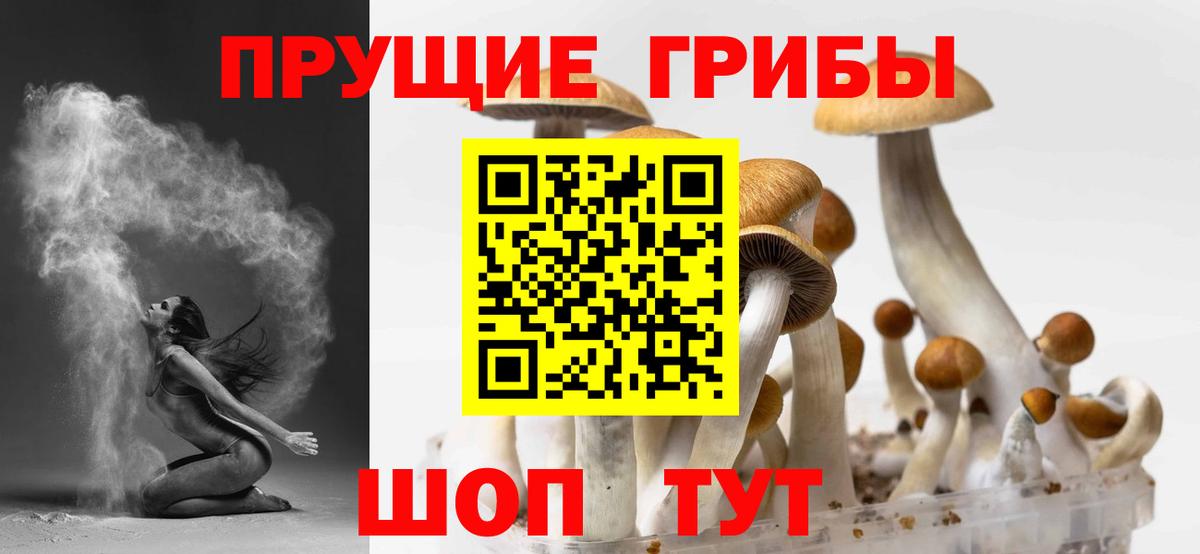 Галлюциногенные грибы мицелий  Псилоцибиновые грибы Psilocybine cubensis  Симферополь  Вход с VPN 